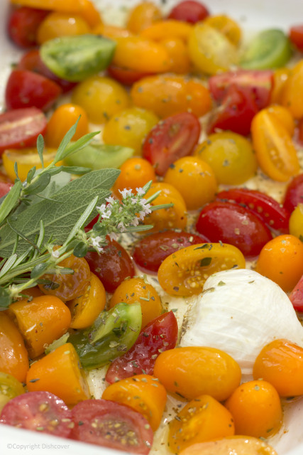 Tomaten Griekse ovenschotel