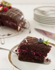 workshop bakken - biscuit met chocolade
