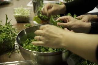 kookworkshop 
