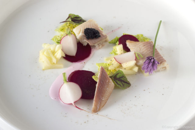 Gerookte forel met rode biet en appel