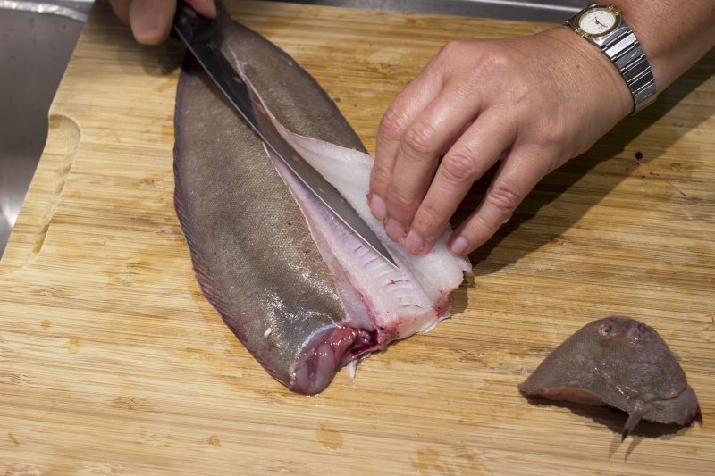 Fileren zeetong