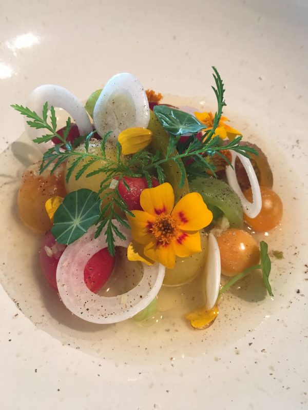 voorgerecht 1 restaurant Hertog Jan collectie tomaten zomer 2016 verse kaas en citrusafrikaan