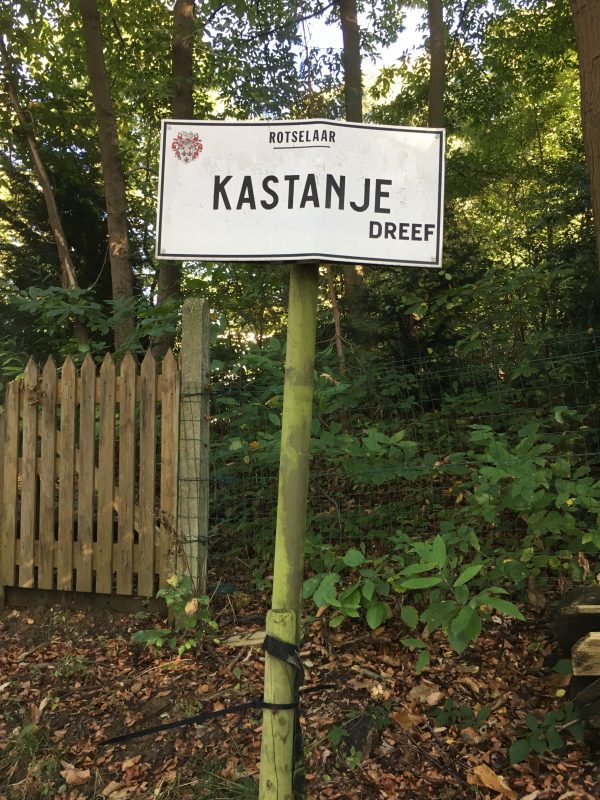 Kastanjedreef