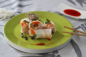 Vietnamese lenterolletjtes