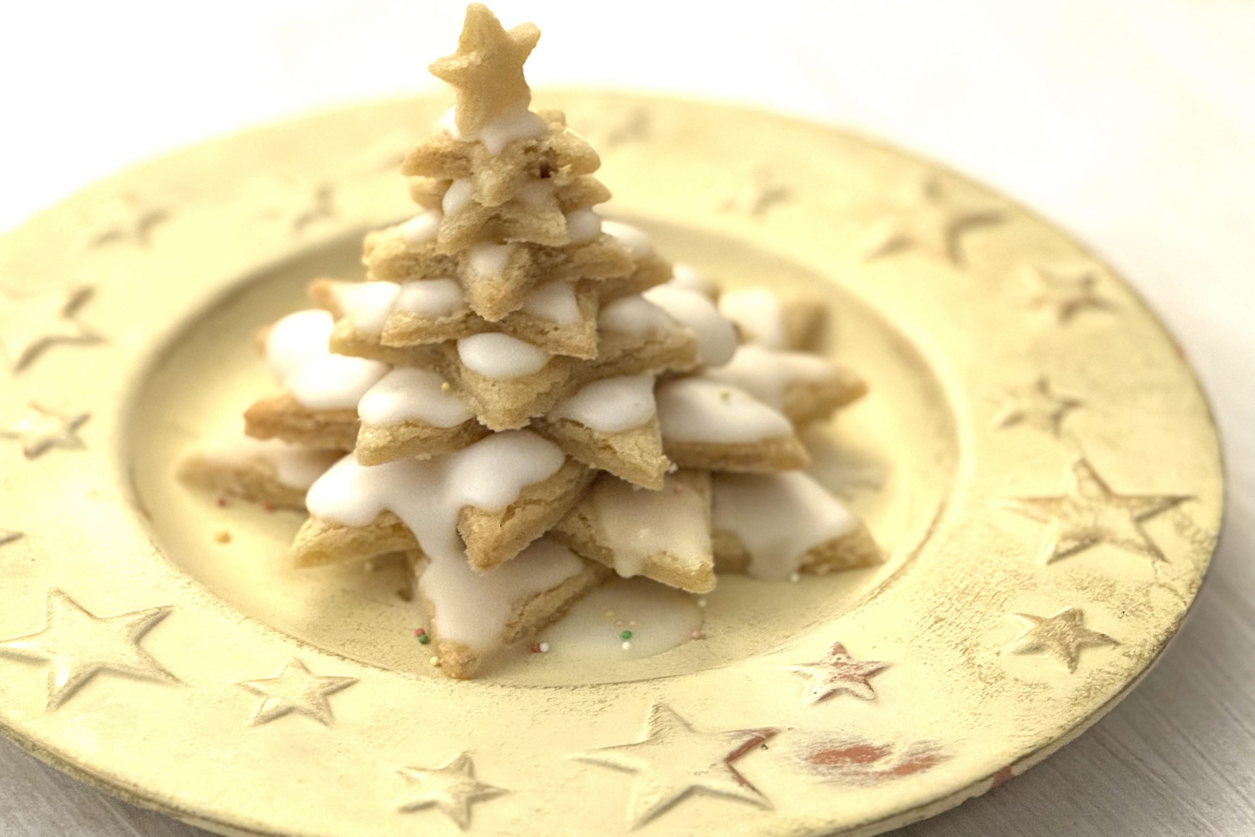 Workshop feestelijk koken 12/12/26 - Afbeelding 12